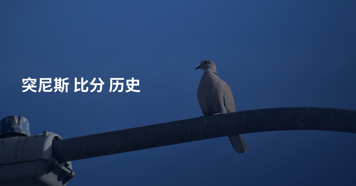 突尼斯 比分 历史