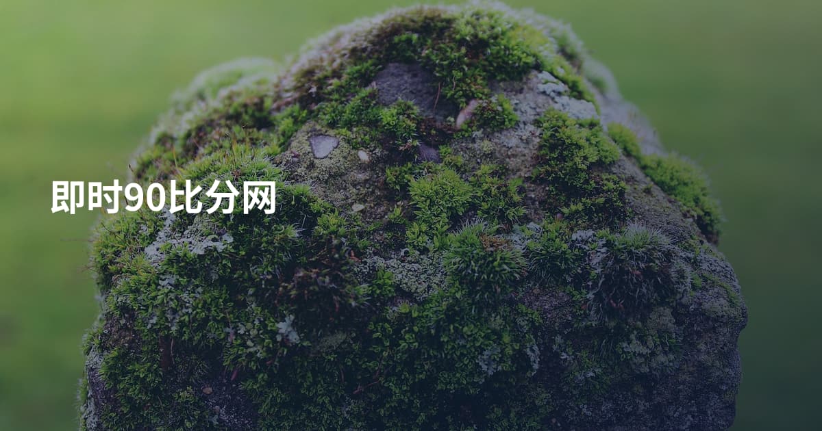 即时90比分网
