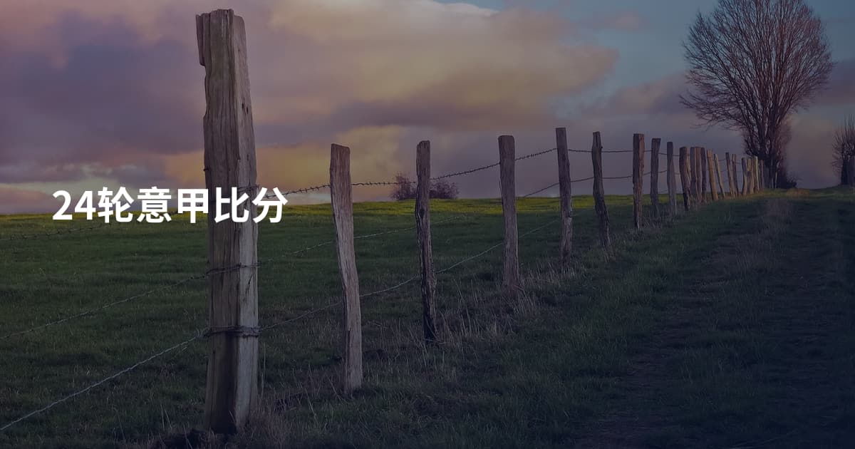 24轮意甲比分