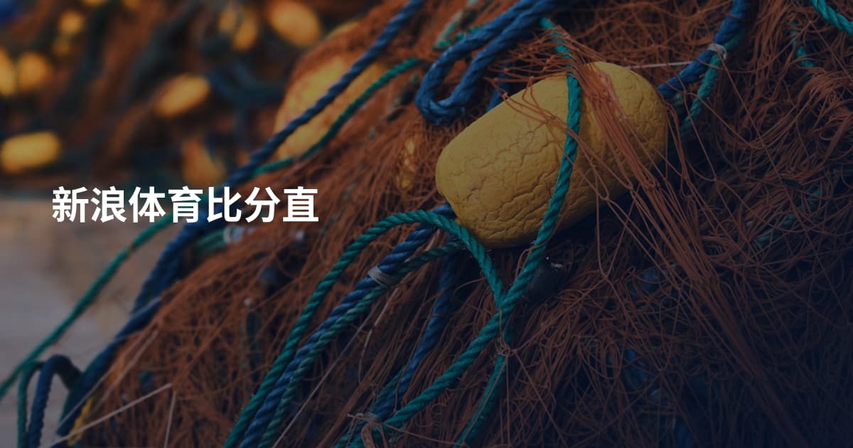 新浪体育比分直