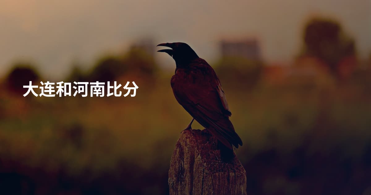 大连和河南比分