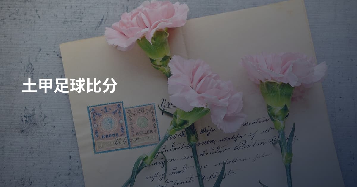 土甲足球比分