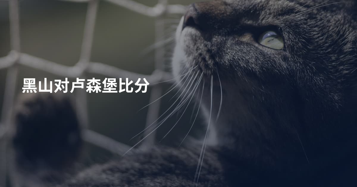 黑山对卢森堡比分