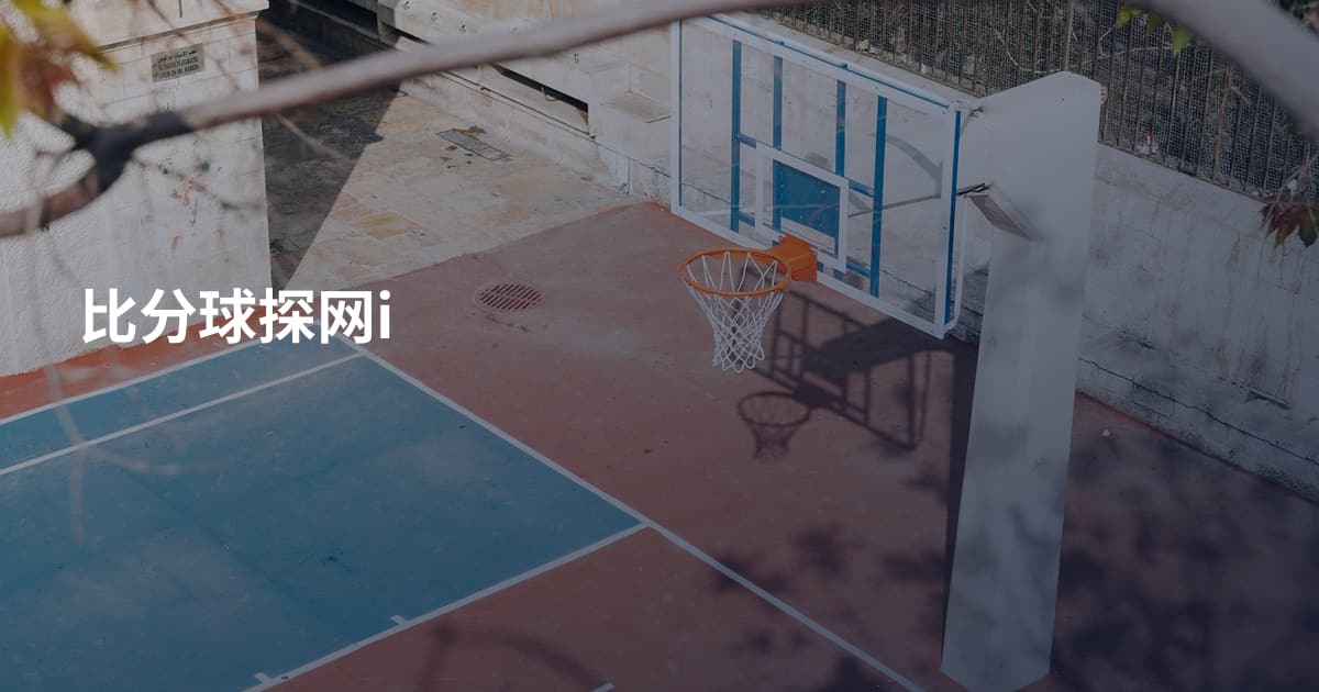比分球探网i