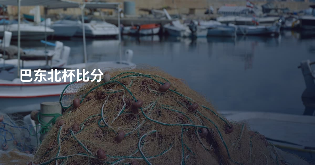 巴东北杯比分