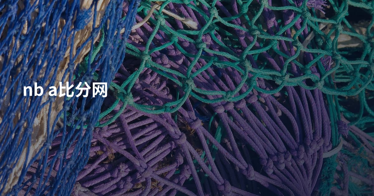 nb a比分网