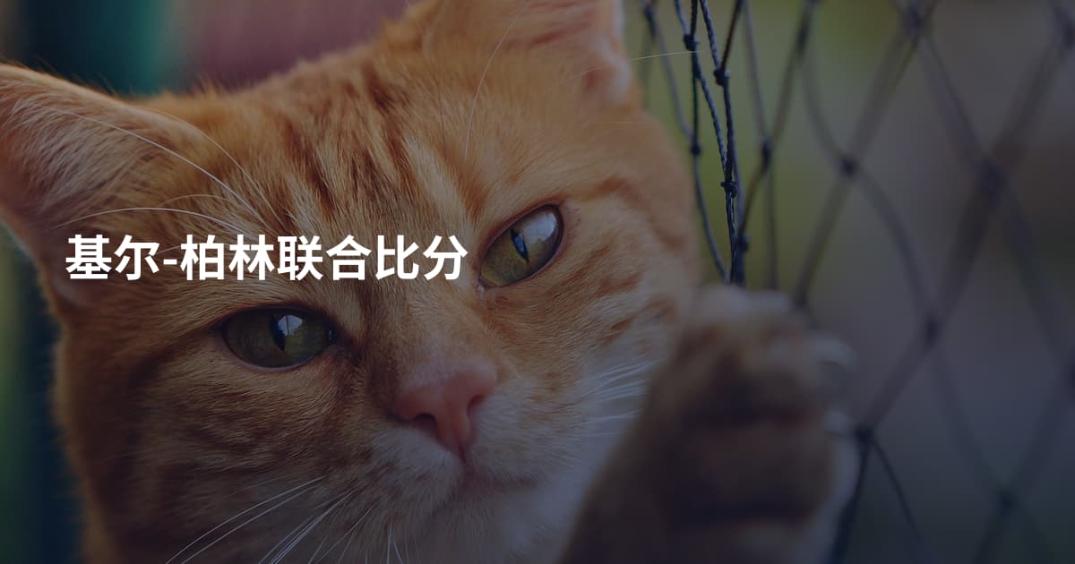 基尔-柏林联合比分