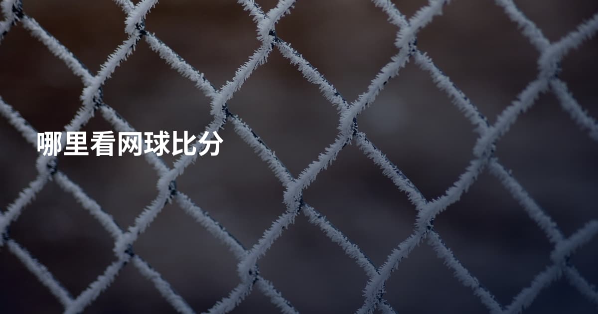 哪里看网球比分