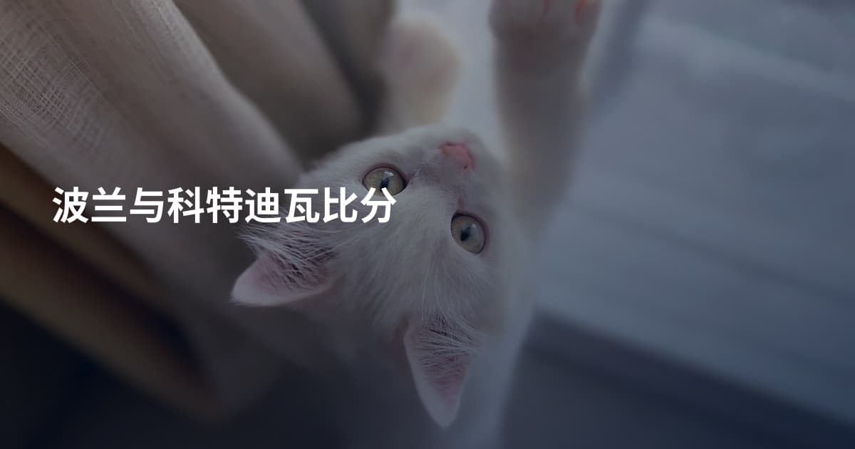 波兰与科特迪瓦比分