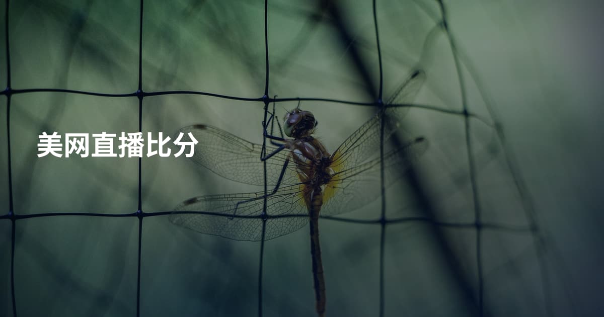 美网直播比分