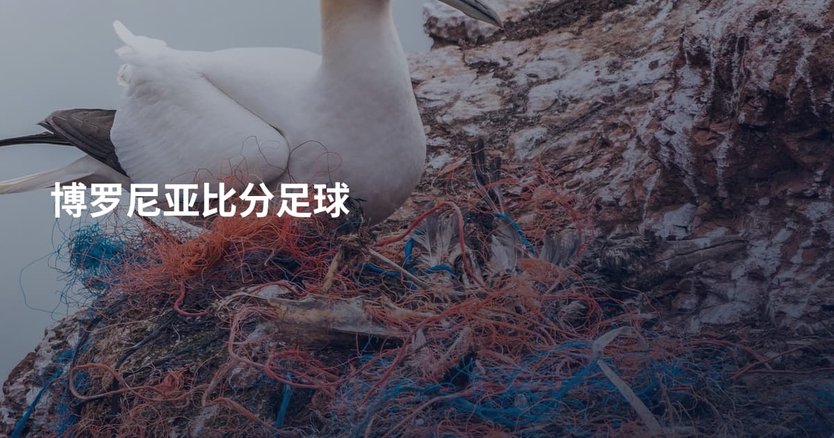 博罗尼亚比分足球