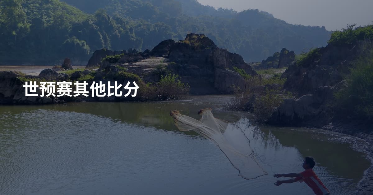 世预赛其他比分