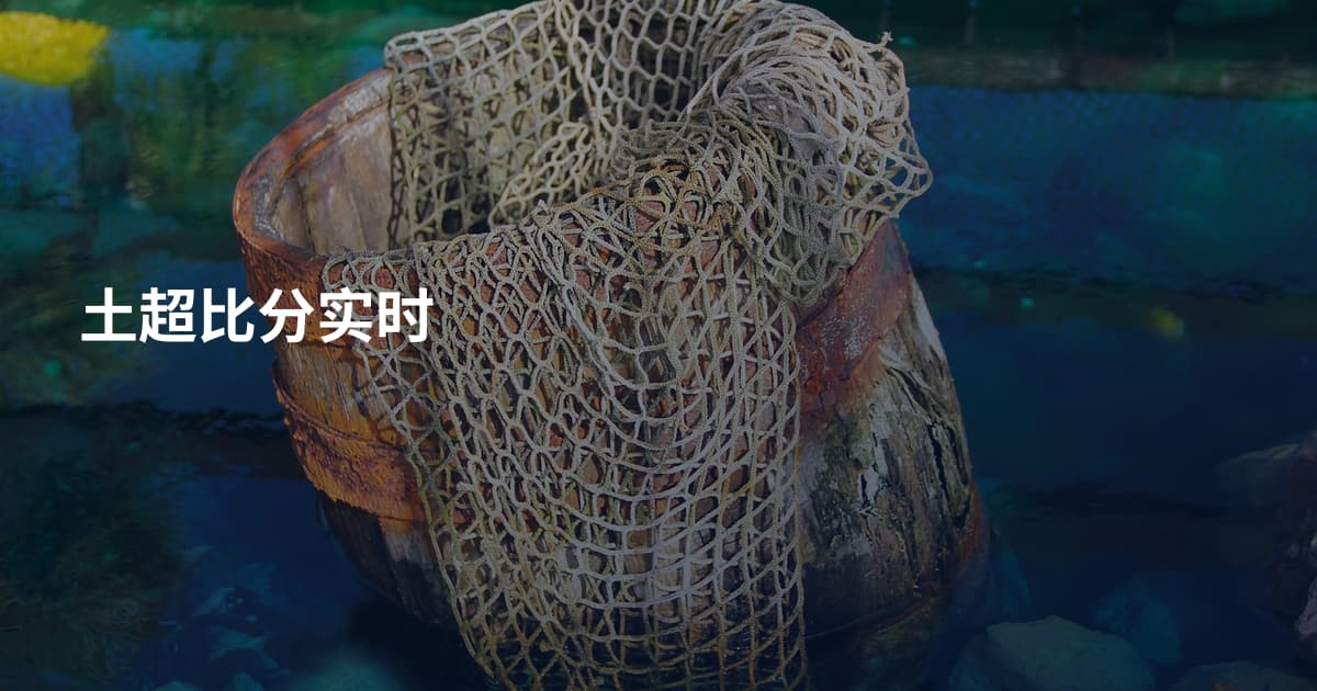 土超比分实时