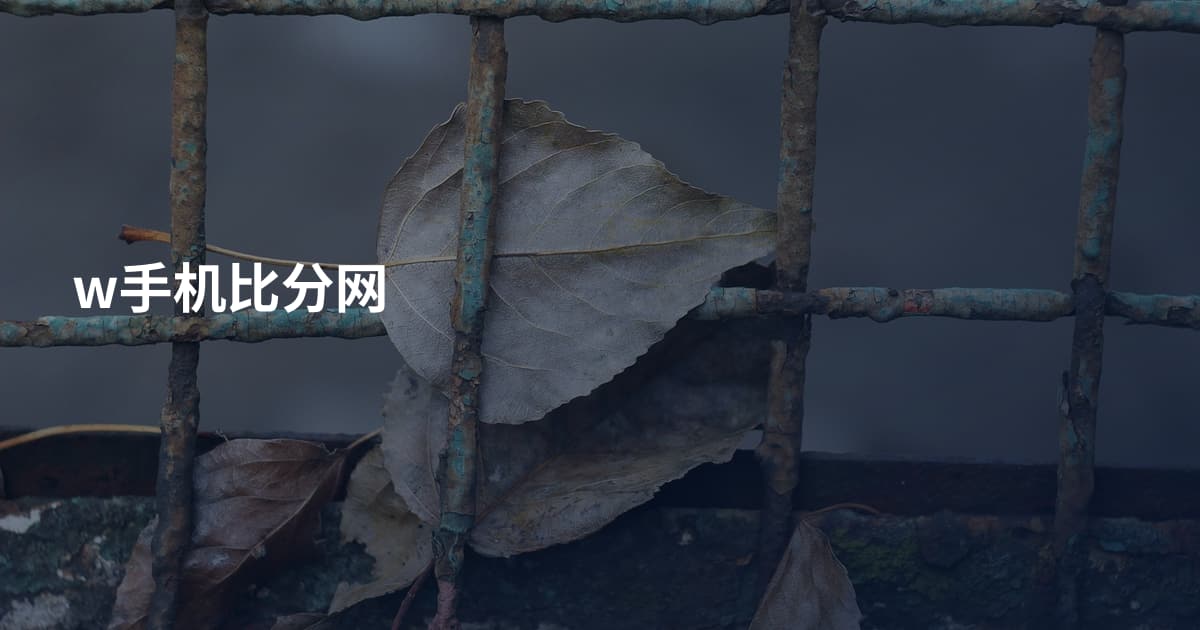 w手机比分网
