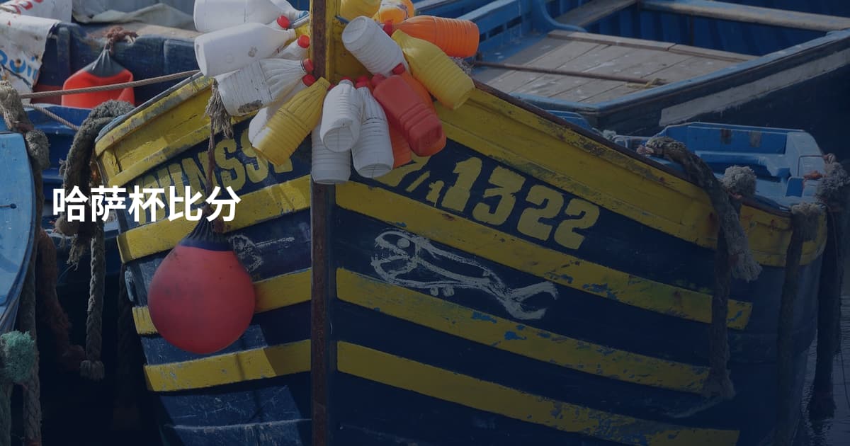 哈萨杯比分