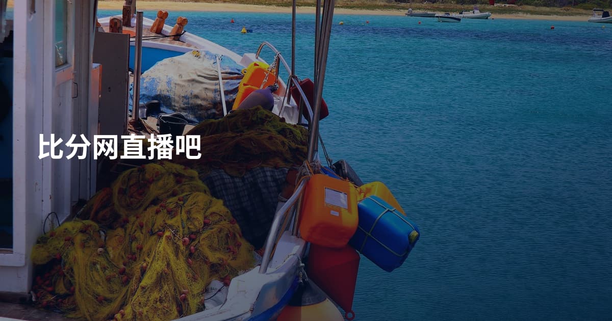 比分网直播吧