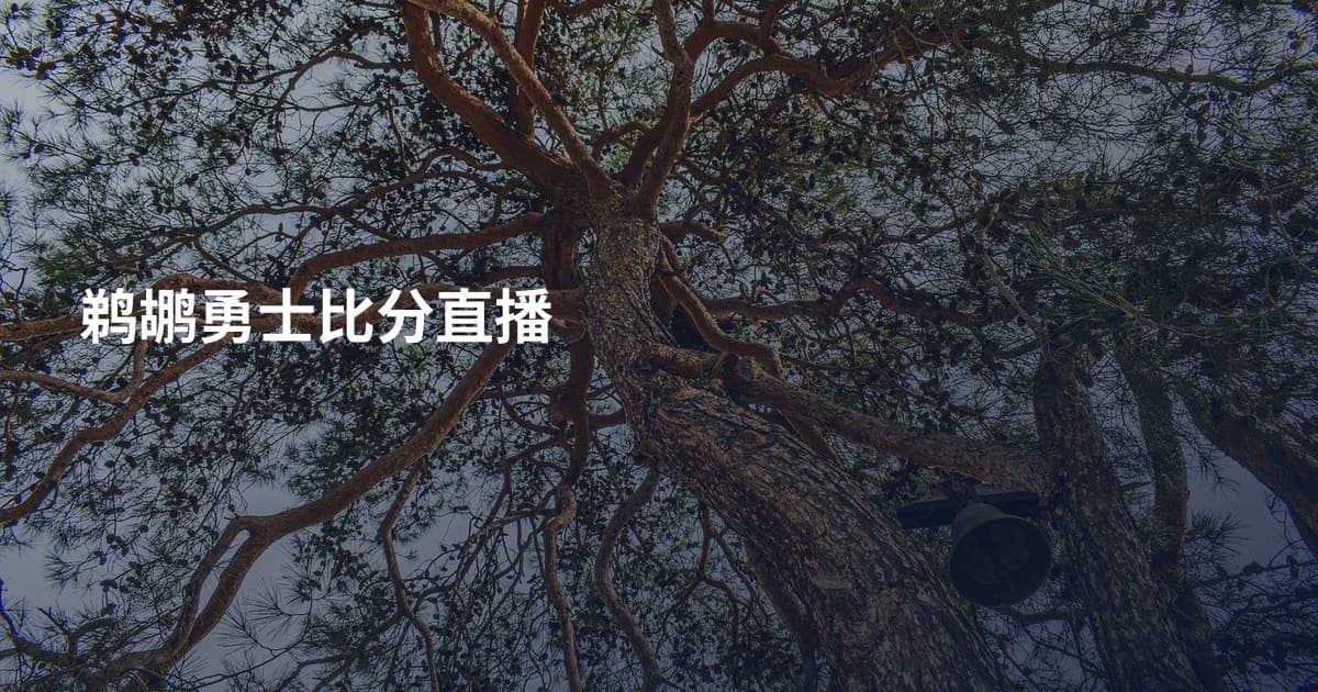 鹈鹕勇士比分直播
