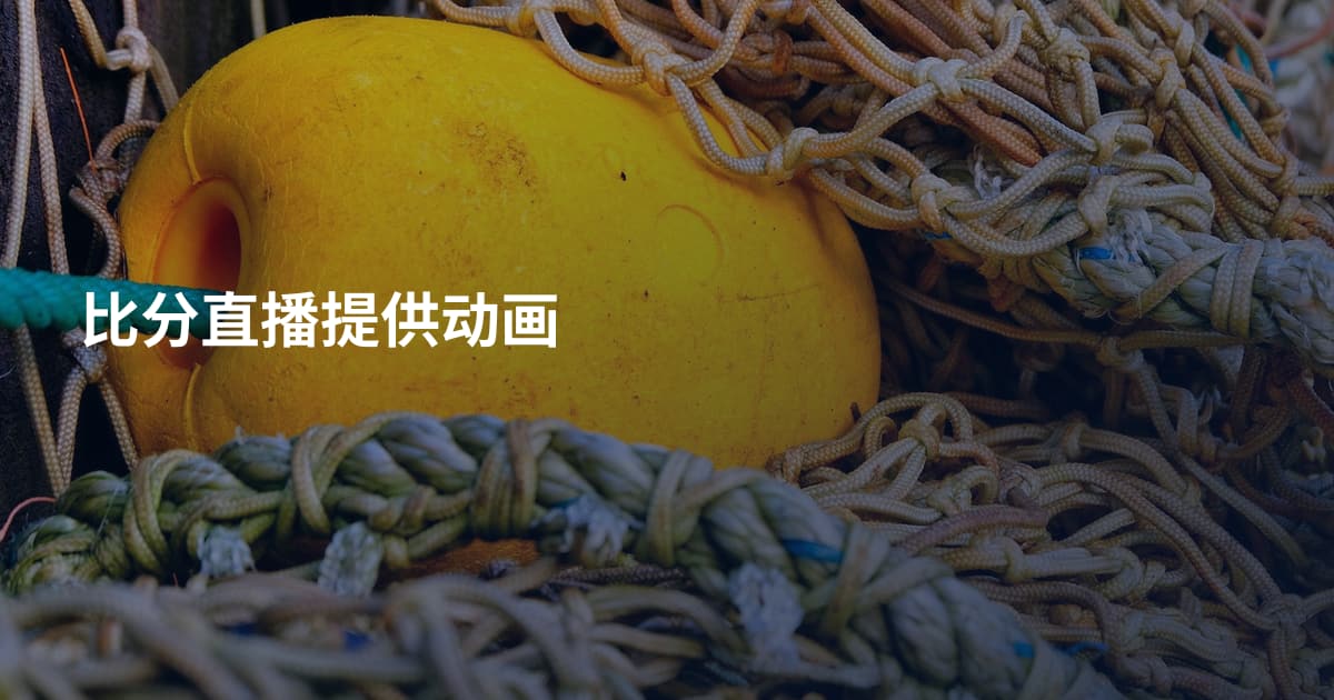 比分直播提供动画