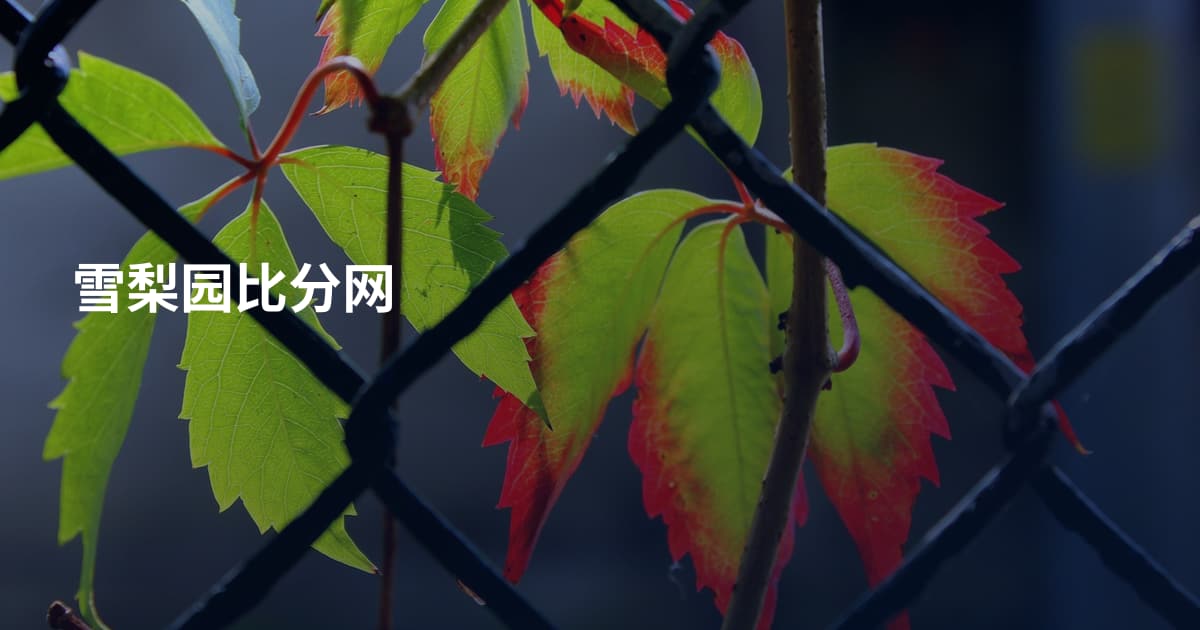雪梨园比分网