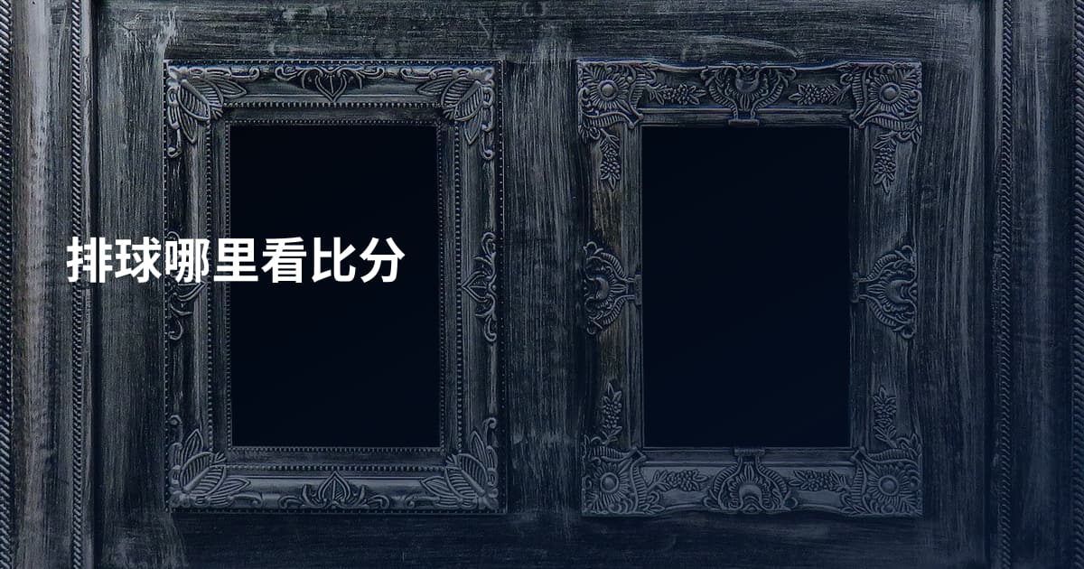 排球哪里看比分