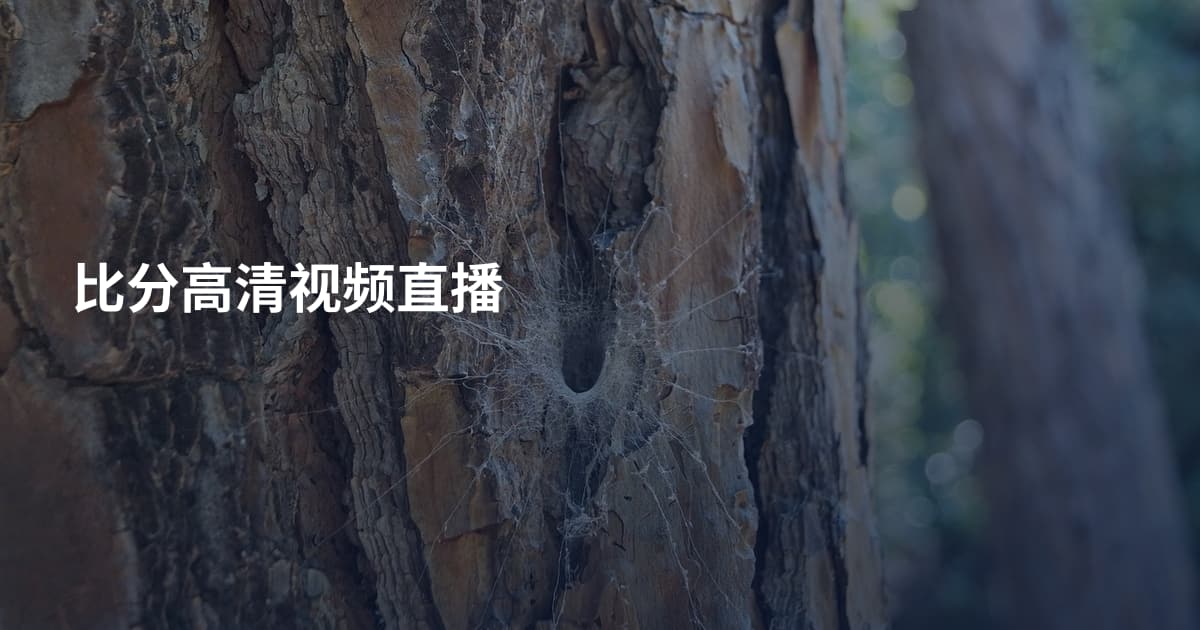 比分高清视频直播