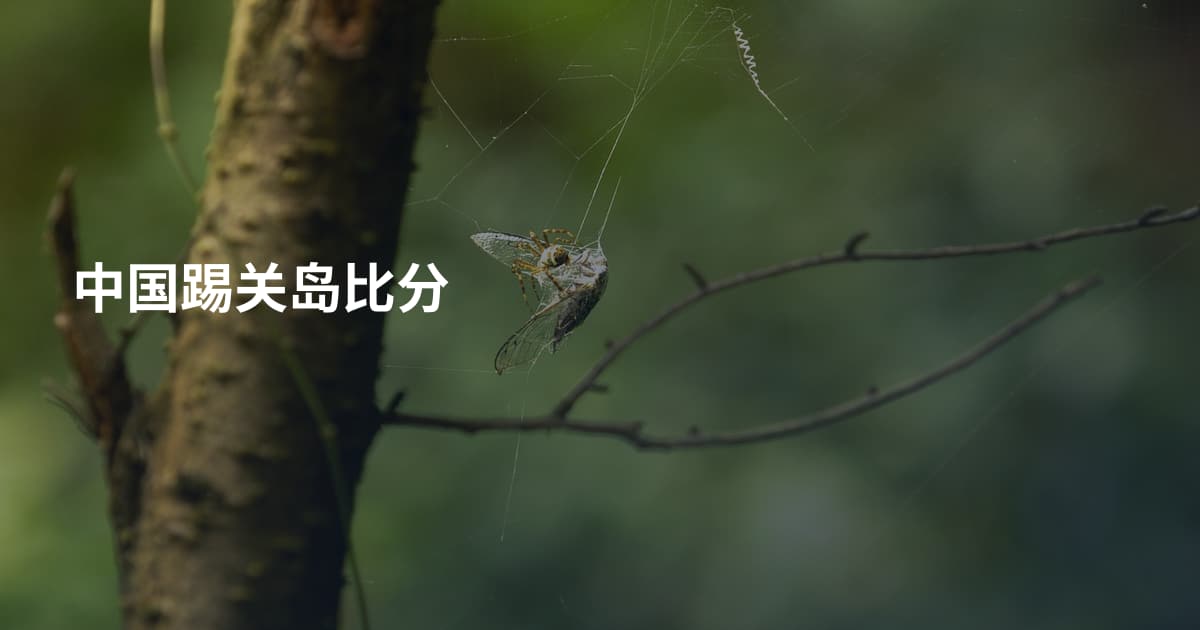 中国踢关岛比分