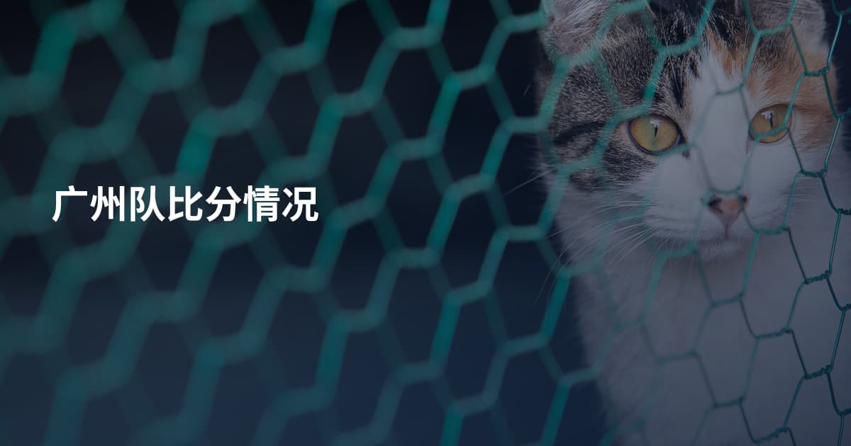 广州队比分情况