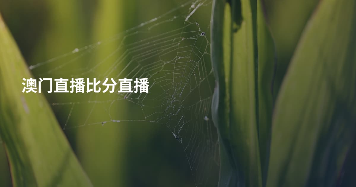 澳门直播比分直播