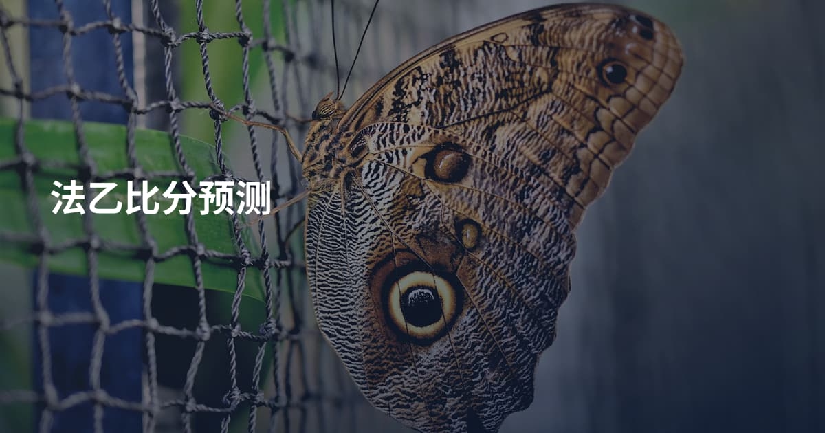 法乙比分预测
