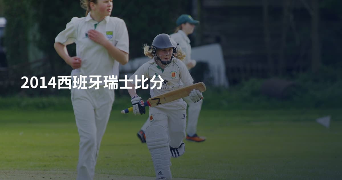 2014西班牙瑞士比分