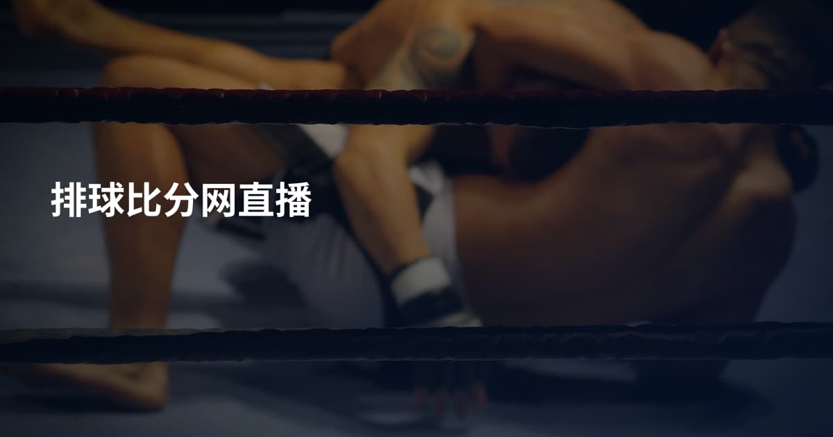 排球比分网直播