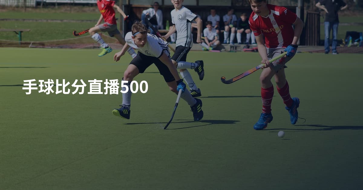 手球比分直播500