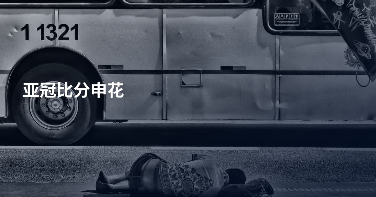 亚冠比分申花