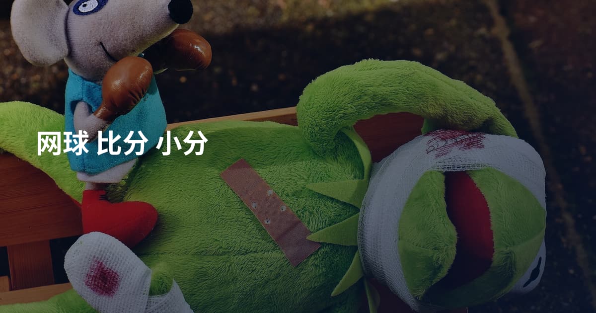 网球 比分 小分