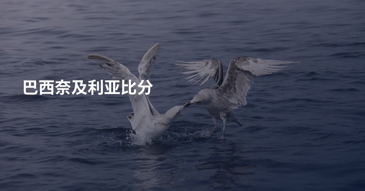 巴西奈及利亚比分