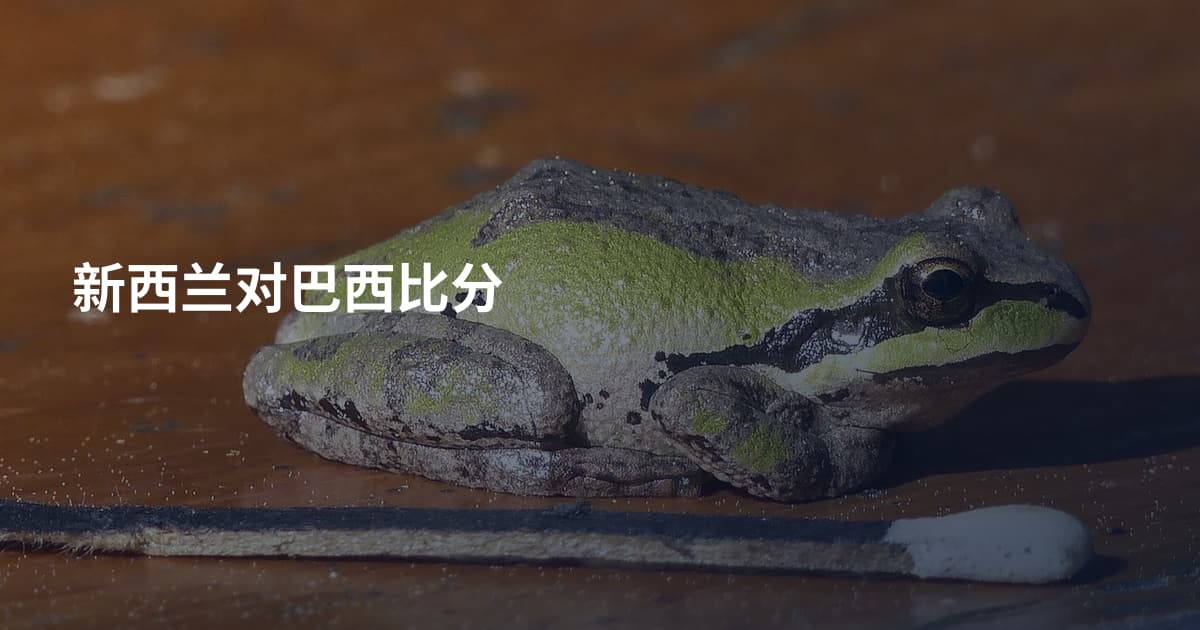新西兰对巴西比分