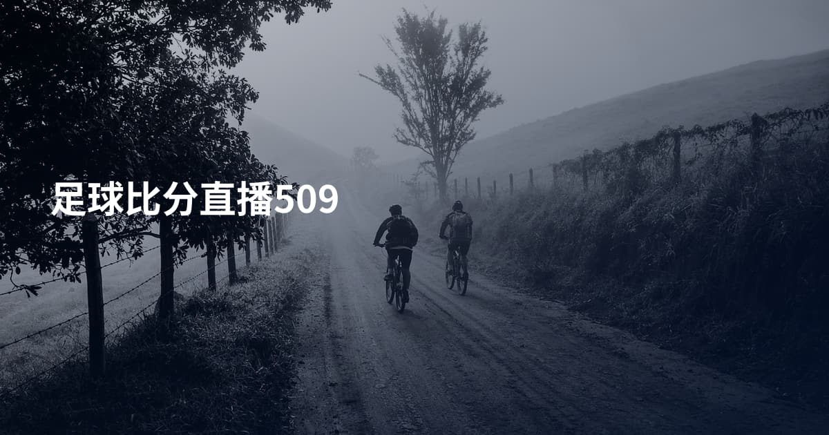 足球比分直播509