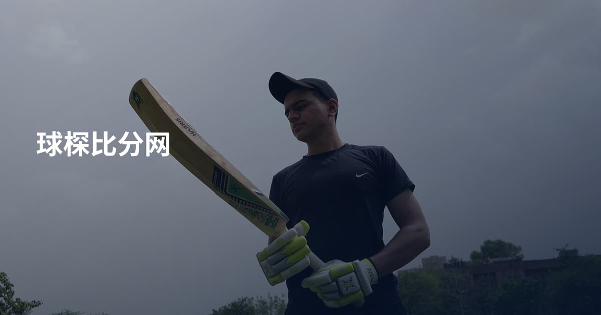 球棎比分网
