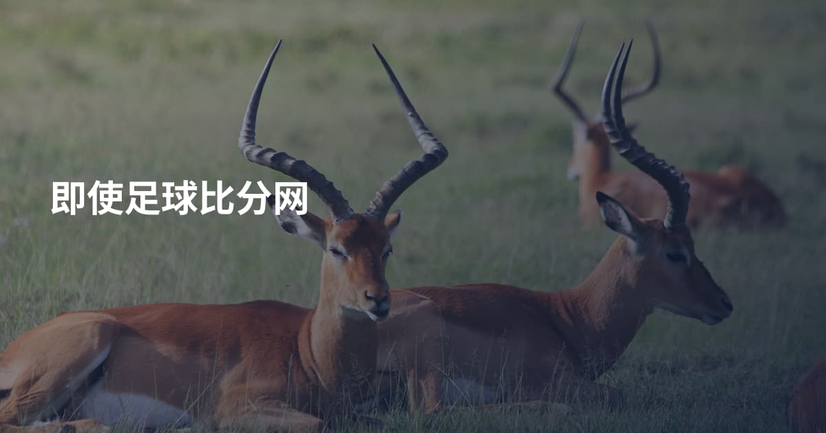 即使足球比分网