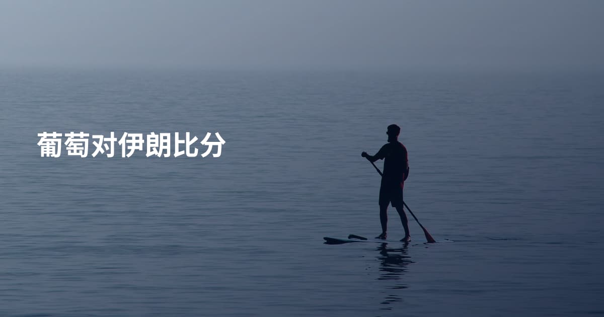 葡萄对伊朗比分