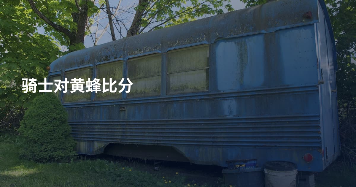 骑士对黄蜂比分