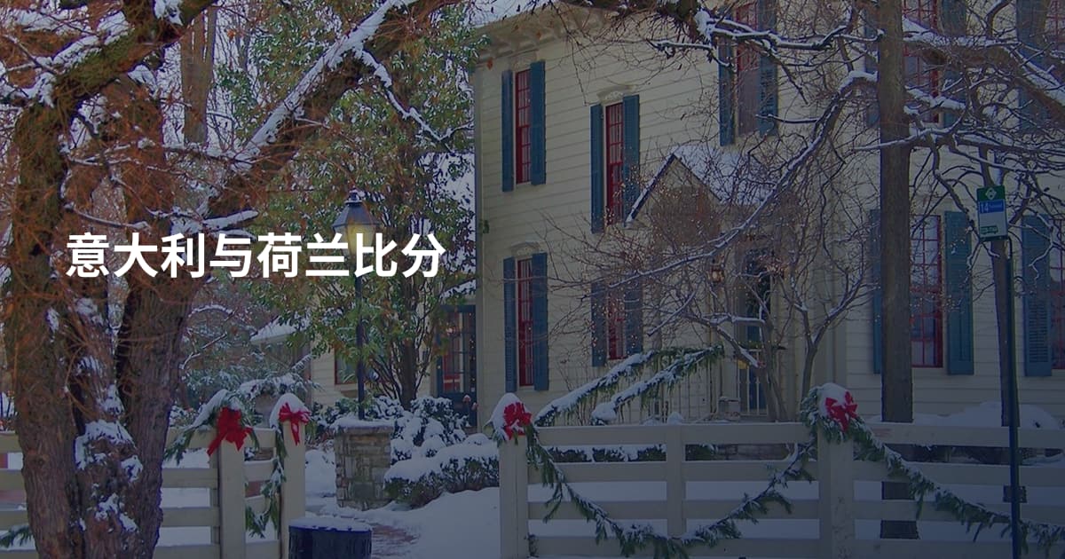 意大利与荷兰比分