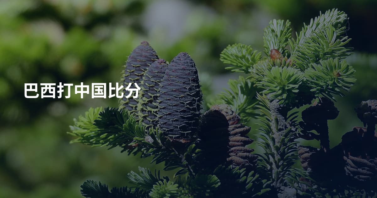 巴西打中国比分