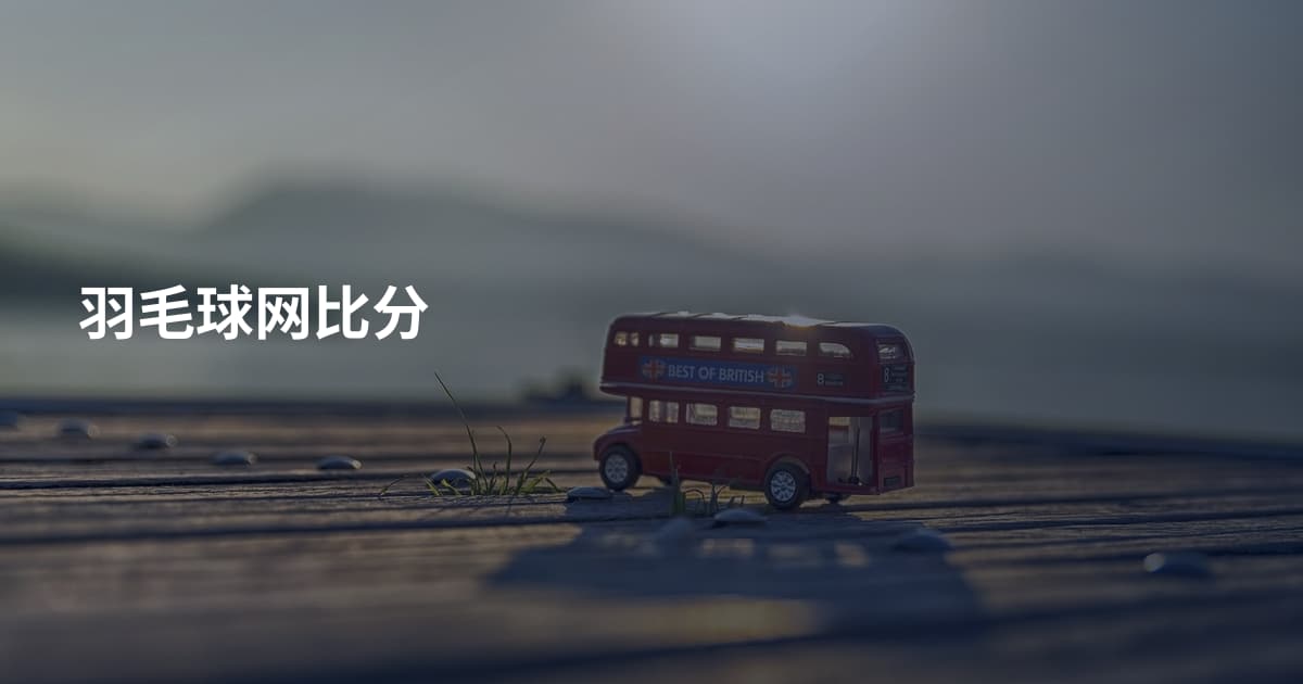 羽毛球网比分