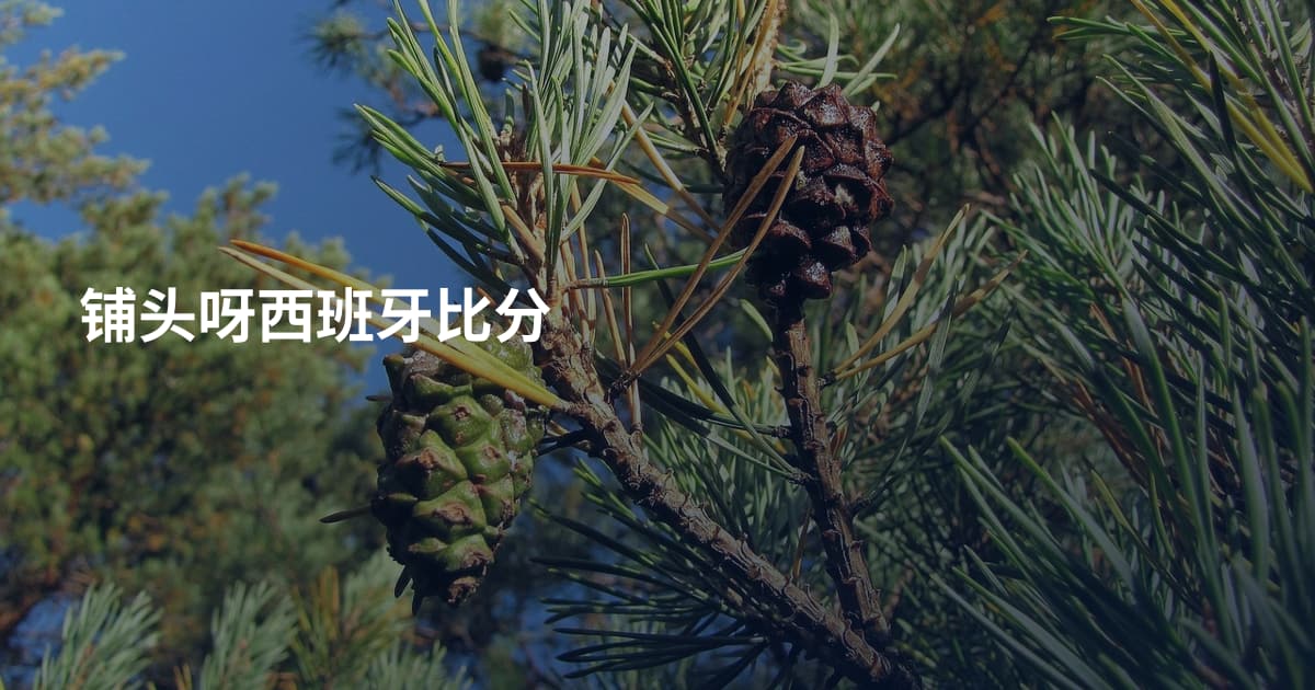 铺头呀西班牙比分