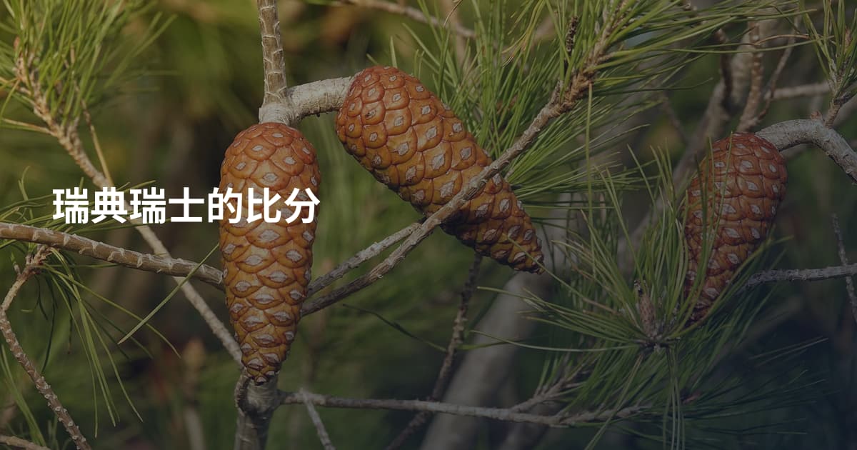 瑞典瑞士的比分