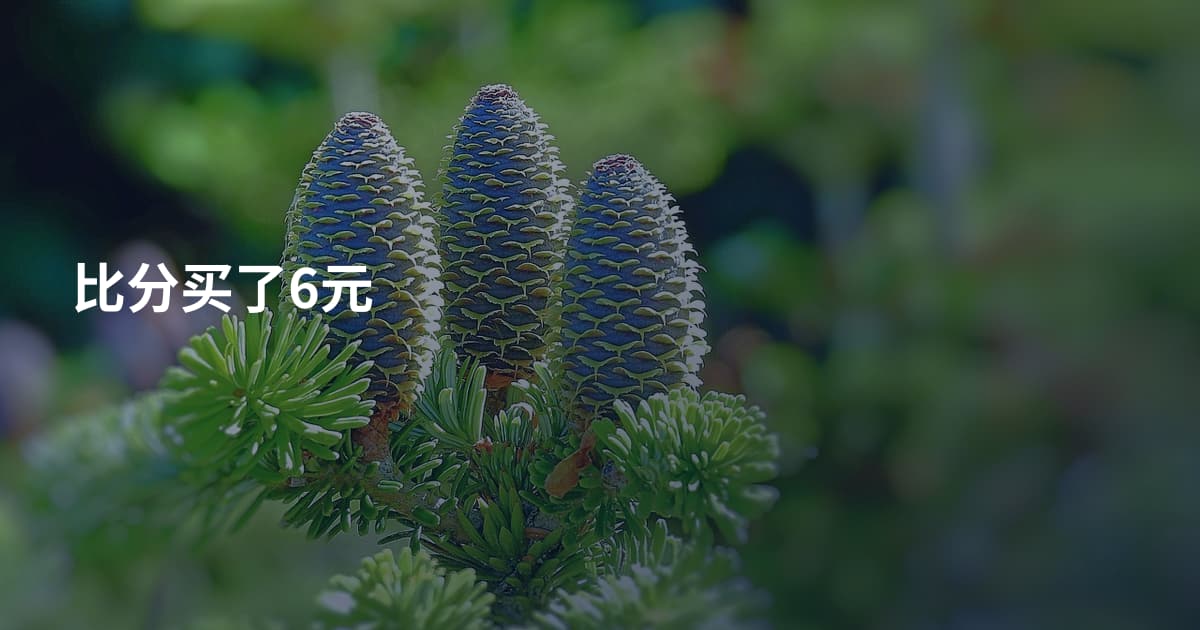 比分买了6元