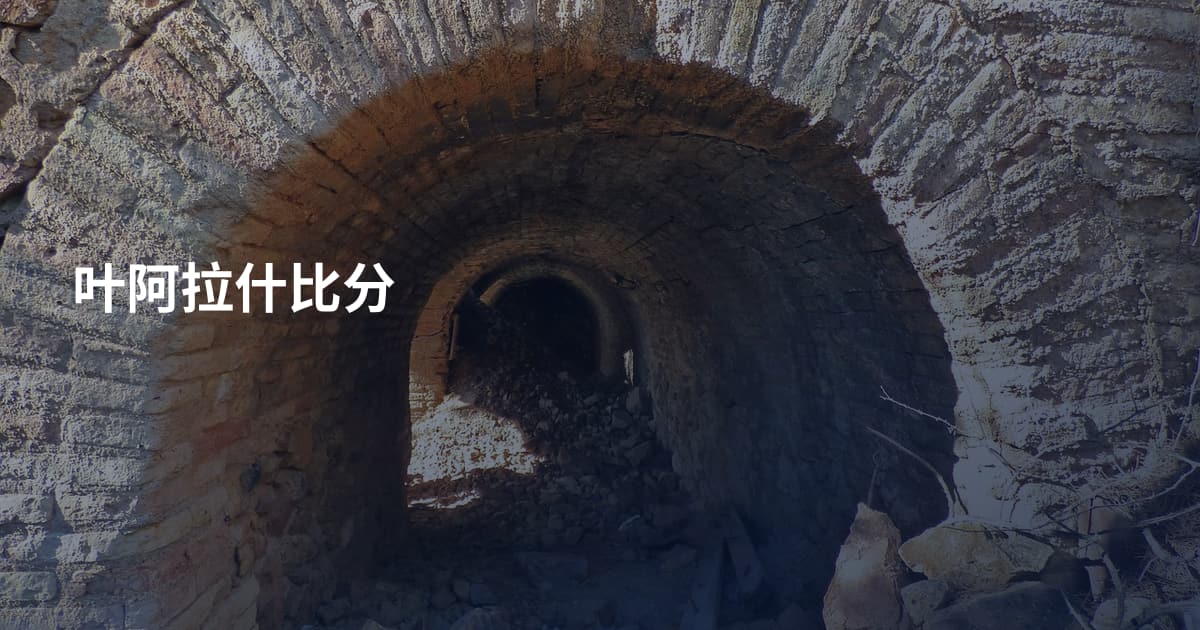 叶阿拉什比分