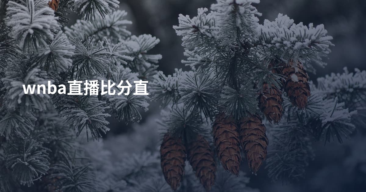 wnba直播比分直