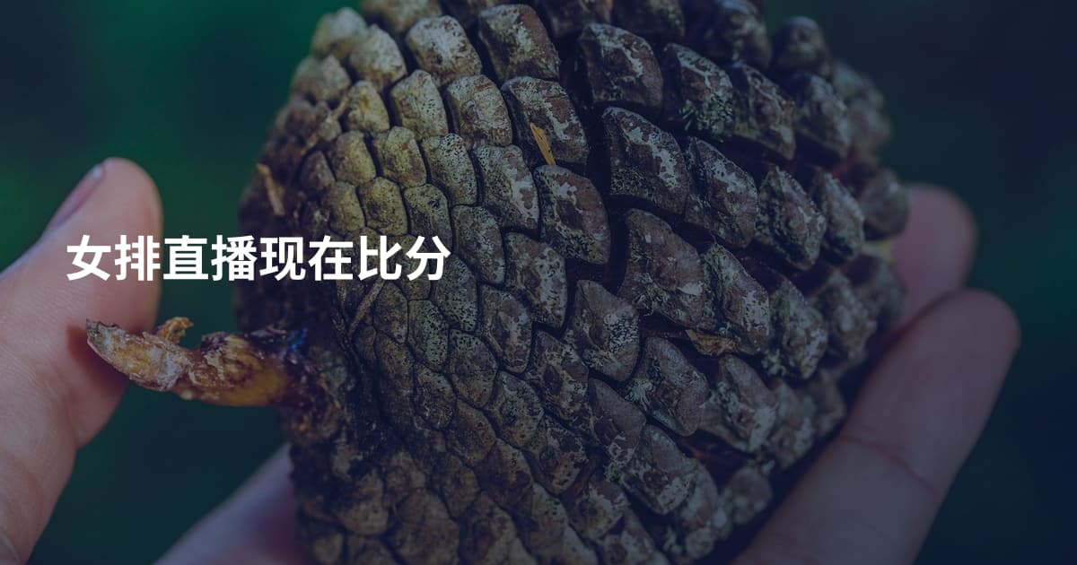 女排直播现在比分